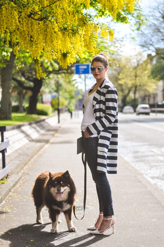 Thankfifi- Asos stripe coat & Iris & Ink yellow clutch-2