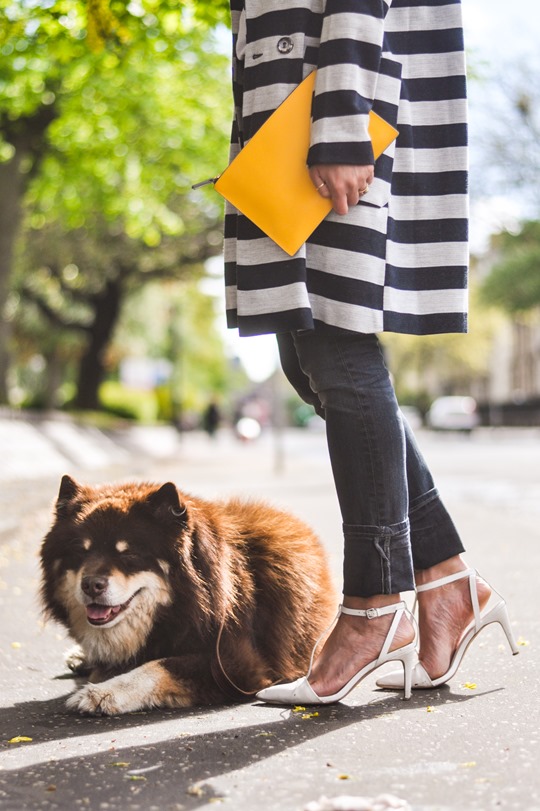 Thankfifi- Asos stripe coat & Iris & Ink yellow clutch-8