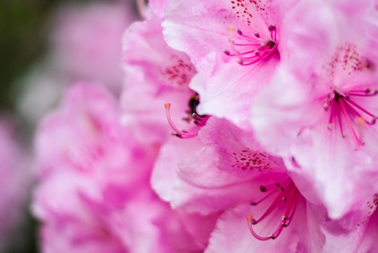 Thankfifi does Wedding Season in LK Bennett Trop skirt & LK Bennett Angie gladiator sandals-14 Thankfifi does Wedding Season in LK Bennett Trop skirt & LK Bennett Angie gladiator sandals-14