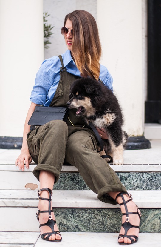 Thankfifi- Khaki overalls & the cutest puppy in the world-15