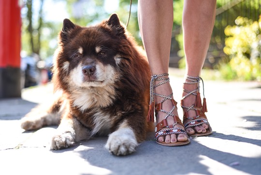 Next leather lace up gladiator sandals - Thankfifi, Scottish fashion blog